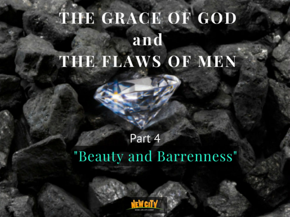 Beauty and Barrenness  Image