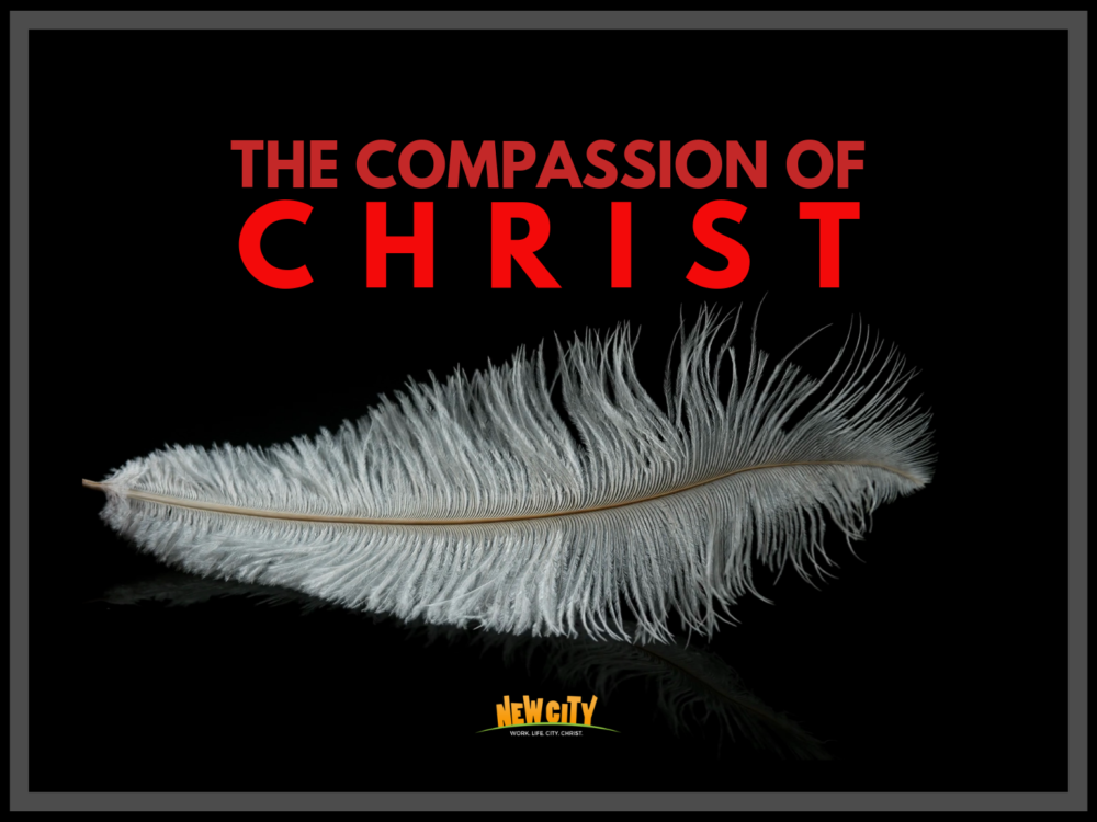 The Compassion of Christ Image