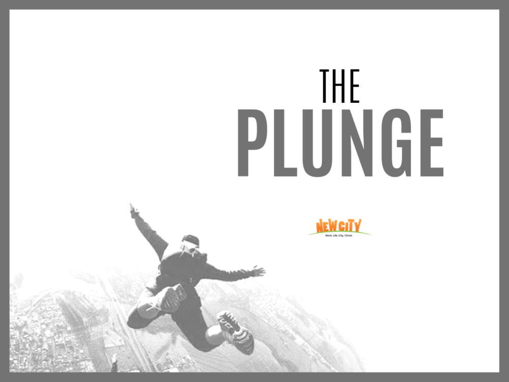 The Plunge Image