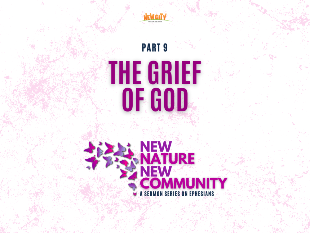 Part 9 - The Grief of God Image