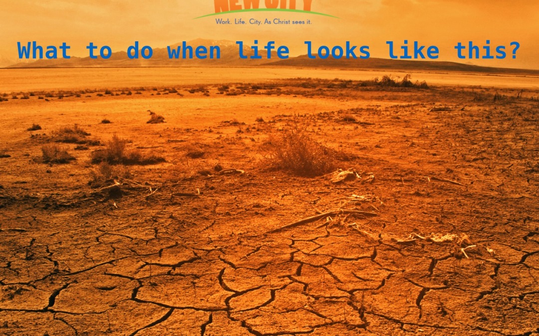 What do you do when life looks like this?