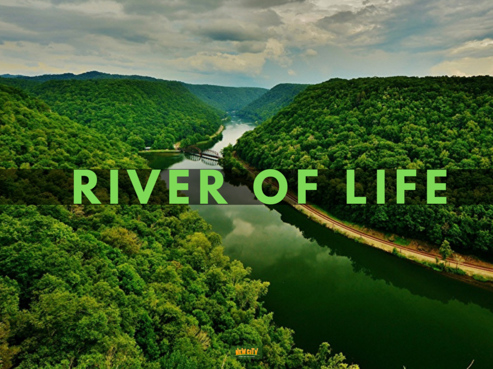 River Of Life Image