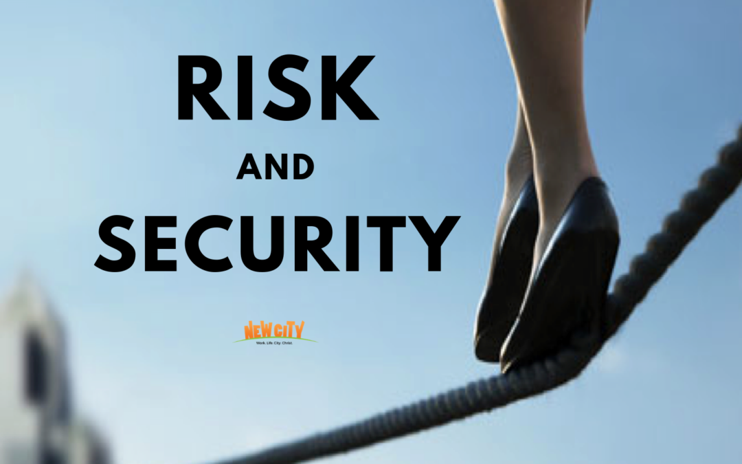 Risk and Security