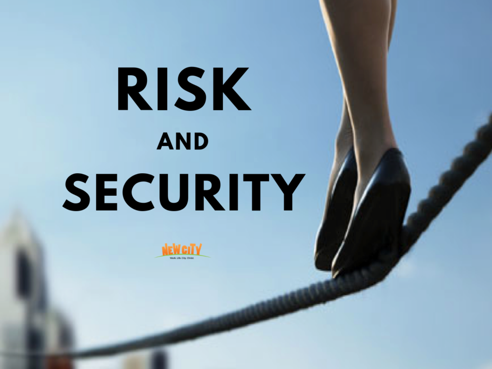 Risk And Security Image