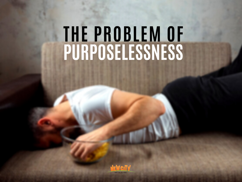 The Problem of Purposelessness