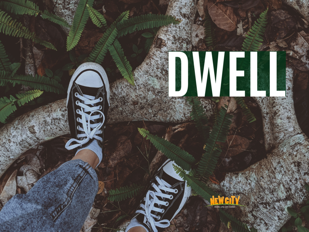 Dwell Image