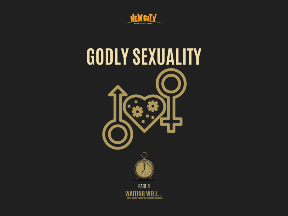 Godly Sexuality Image