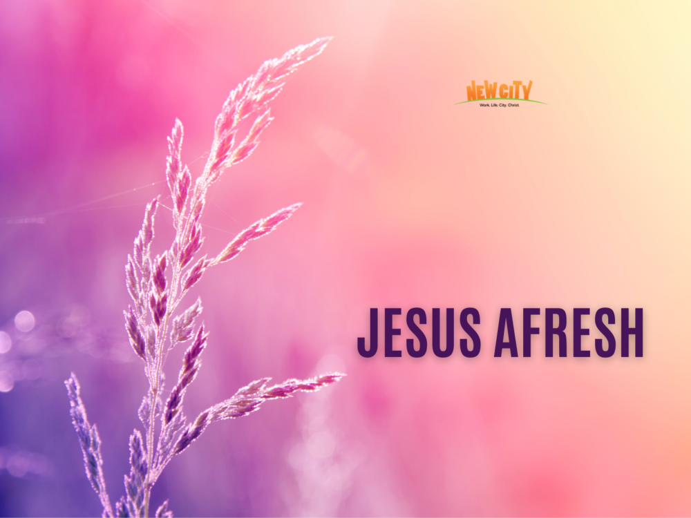 Jesus Afresh Image