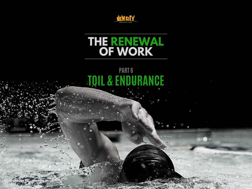 Toil & Endurance Image
