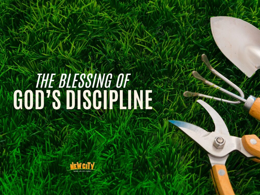 The Blessing Of God's Discipline Image