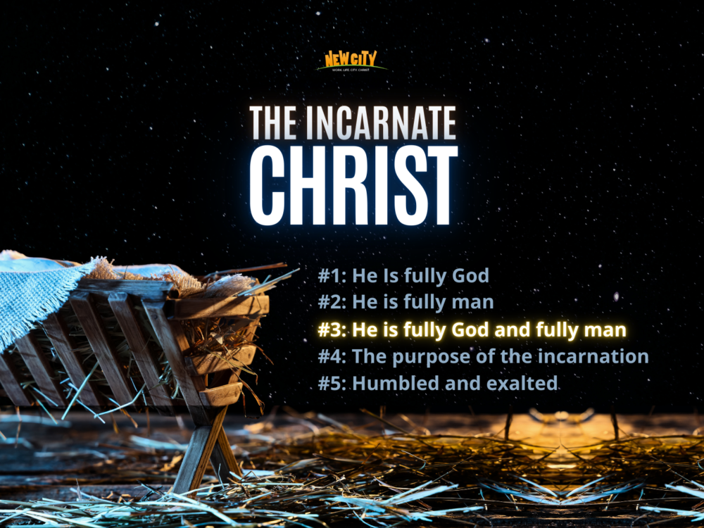 Part 3 - He Is Fully God & Fully Man Image