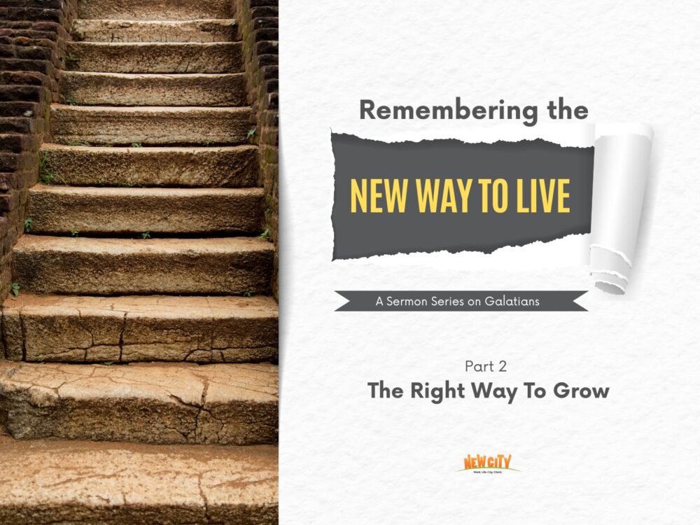 Part 2 - The Right Way To Grow Image