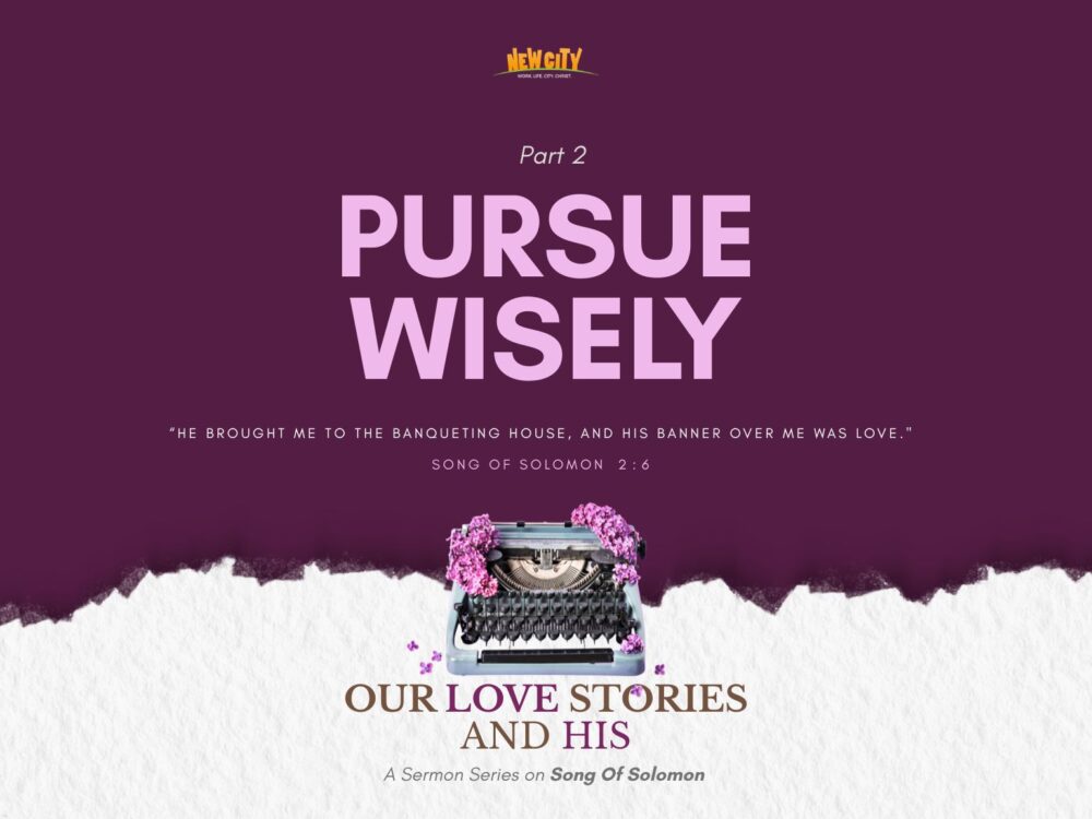 Part 2 - Pursue Wisely Image
