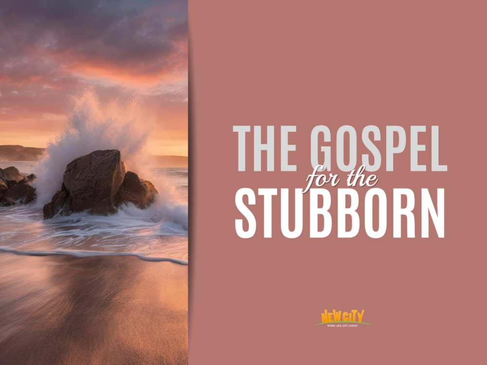 The Gospel For The Stubborn